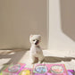 Acrylic Pet Dazzling Bowl Food Basin Small Dog