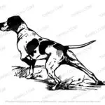 english Pointer SVG