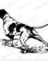 english Pointer SVG
