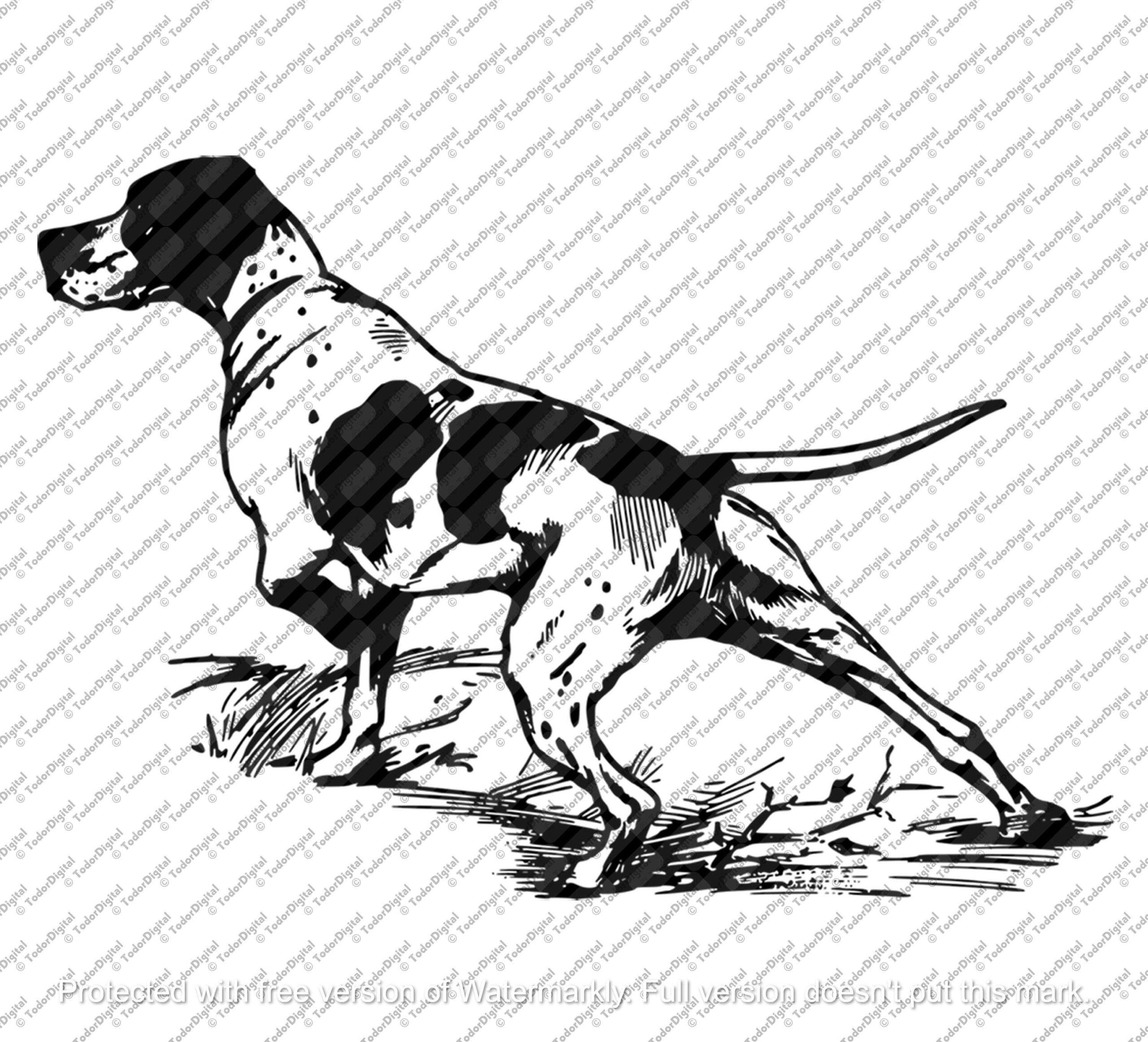 il_fullxfull.6245493045_o6o3.jpg English Pointer SVG: Hunting Dog Clipart (Digital Download) - Image 1